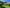 - Billundvej 40, Ringive