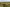 Dronefoto golfbanen - Rottarpvej 40
