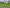  - Gamstvej 34, Gamst