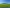 - Billundvej 40, Ringive