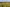 Dronefotos - Rottarpvej 40