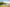  - Hornelund 59, Horne