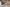 - Gamstvej 34, Gamst