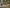 - Billundvej 40, Ringive